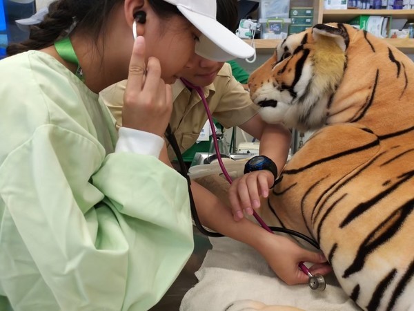 穿上獸醫袍化身小小獸醫師!六福莊推「小小獸醫探索營」兩天一夜專案